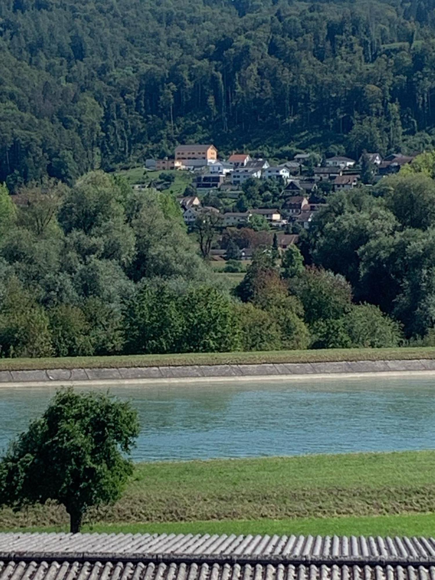 Hochrhein Ferienwohnung Albbruck Dış mekan fotoğraf